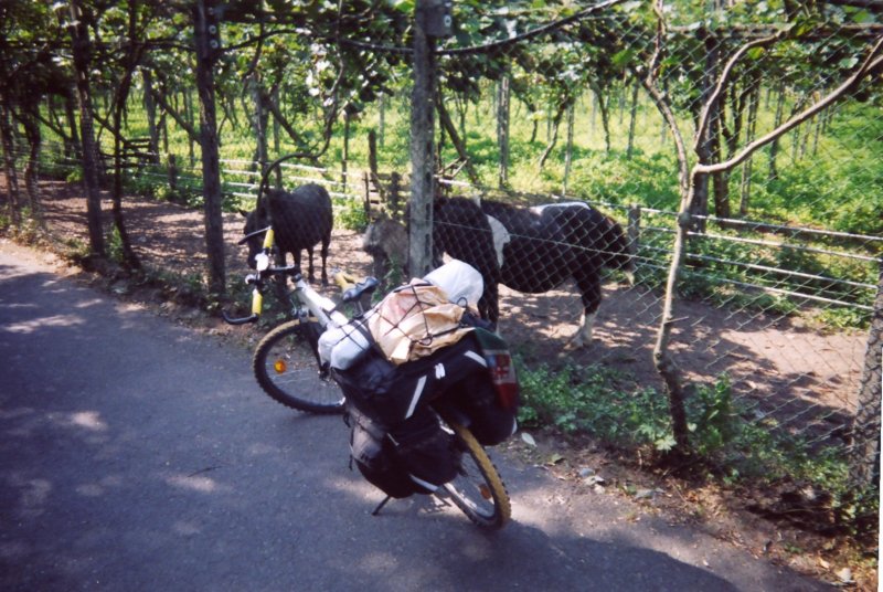 pistaciclabileversosondrio.jpg
