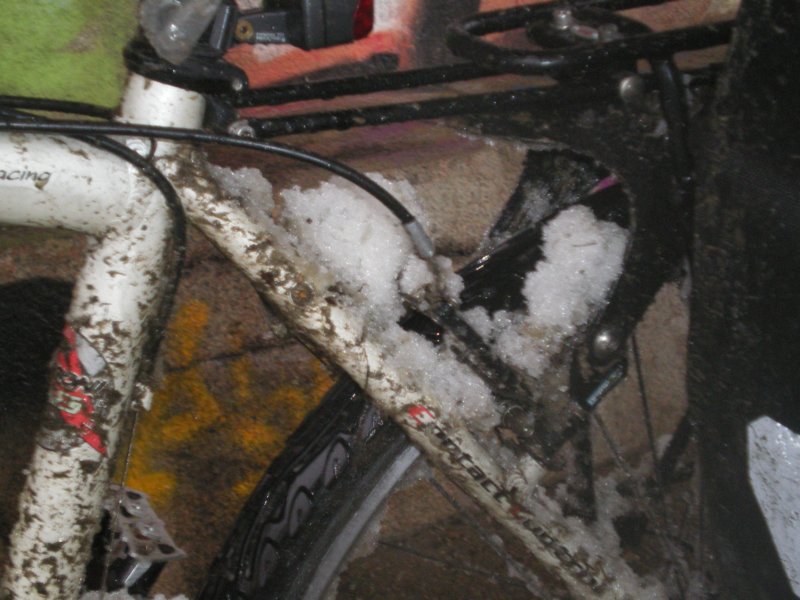 imgp2004.jpg