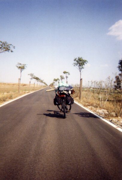 ciclabilemarinadigrosseto.jpg