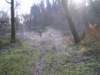 imgp1888_small.jpg