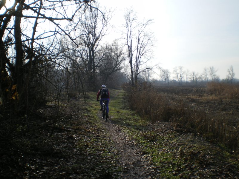 imgp1900.jpg