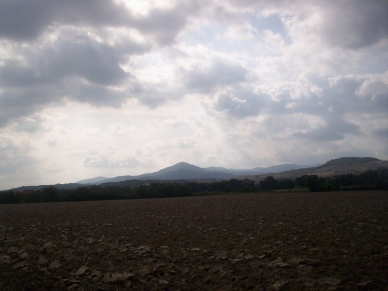 panorama1.jpg