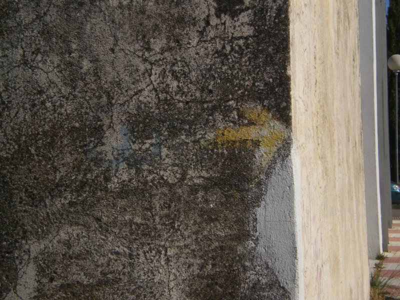 imgp4362.jpg