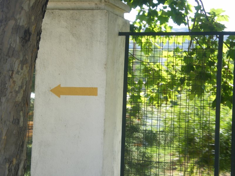 imgp4368.jpg