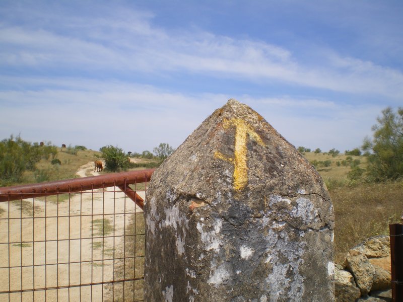 imgp4387.jpg