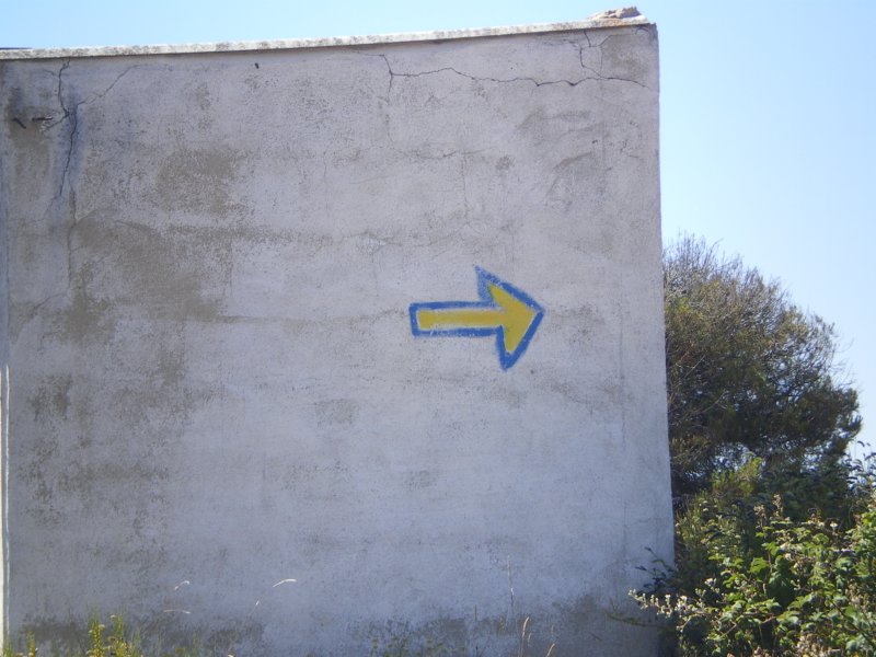 imgp4498.jpg