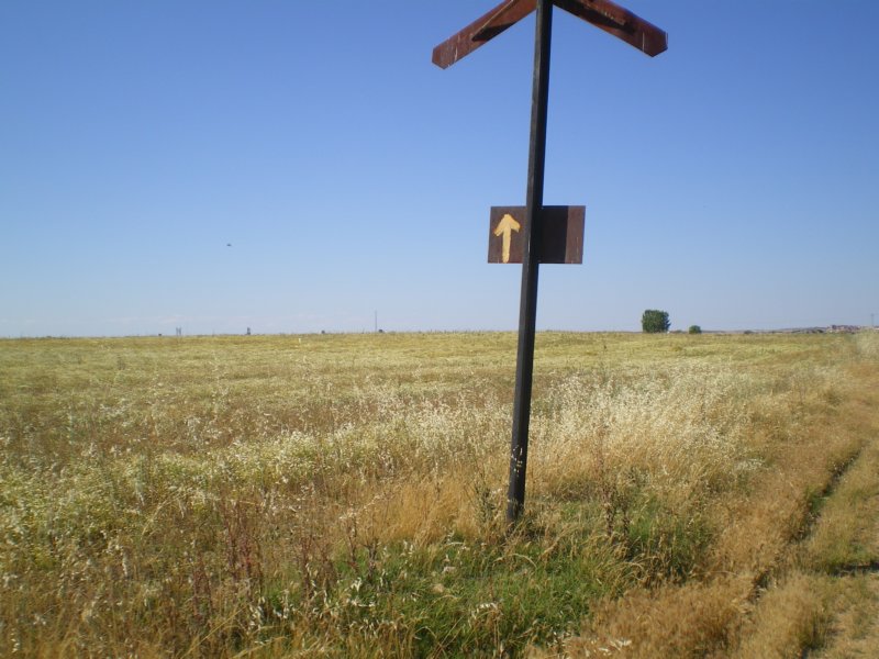 imgp4511.jpg