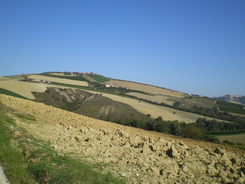 imgp1559.jpg