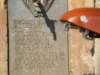 imgp1593_small.jpg