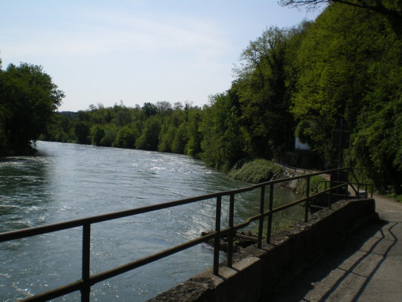 imgp0617.jpg