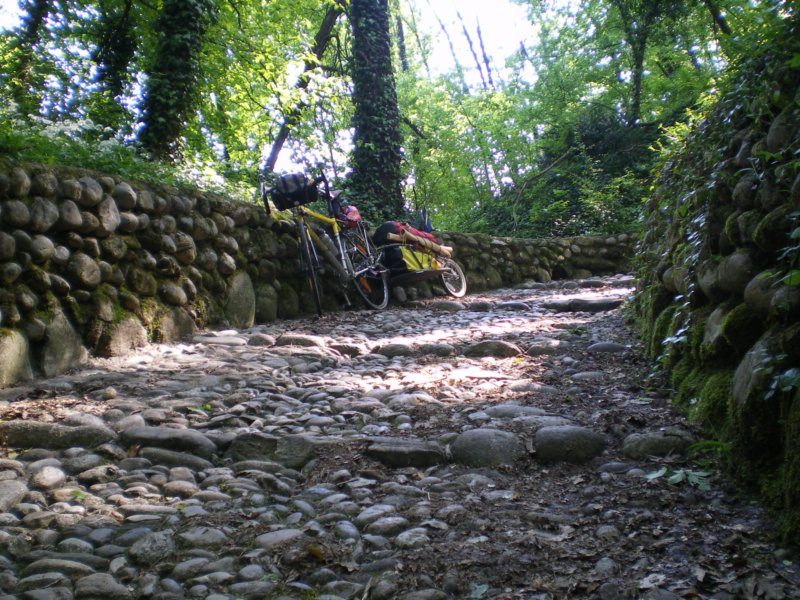 imgp0623.jpg