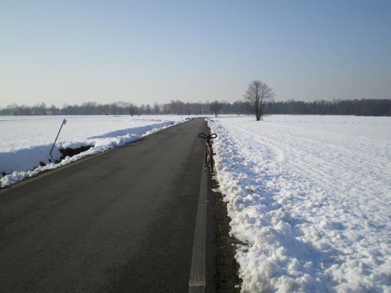 dintornidisanbovio.jpg
