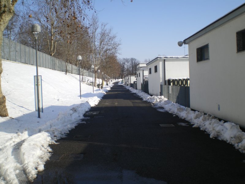 imgp0521.jpg