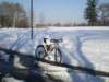 imgp0534_small.jpg