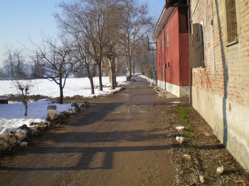 imgp0545.jpg