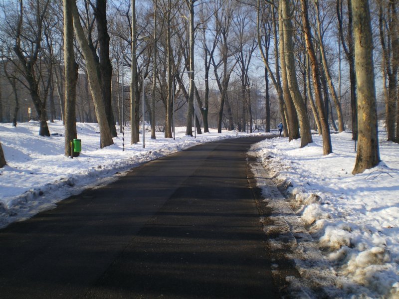 imgp0550.jpg