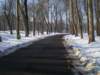 imgp0550_small.jpg