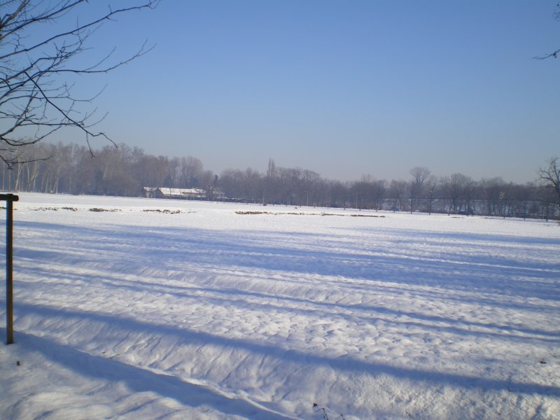 imgp0551.jpg