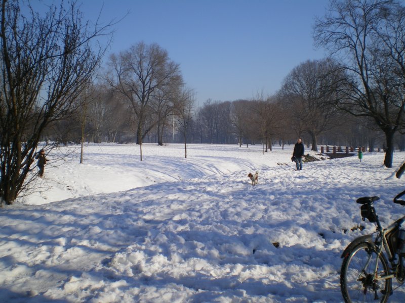 imgp0562.jpg