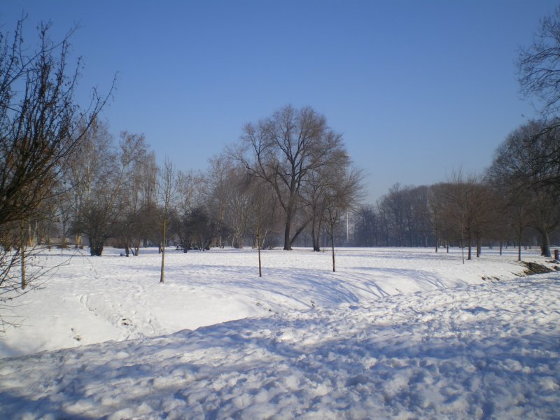 imgp0563.jpg