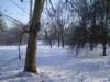 imgp0571_small.jpg