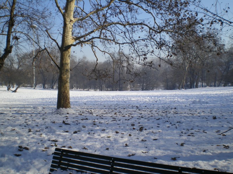 imgp0572.jpg