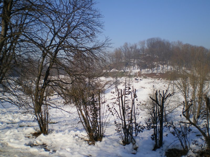 imgp0574.jpg