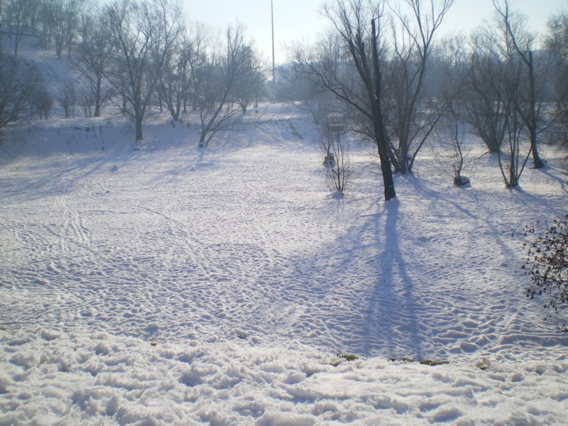 labuca.jpg