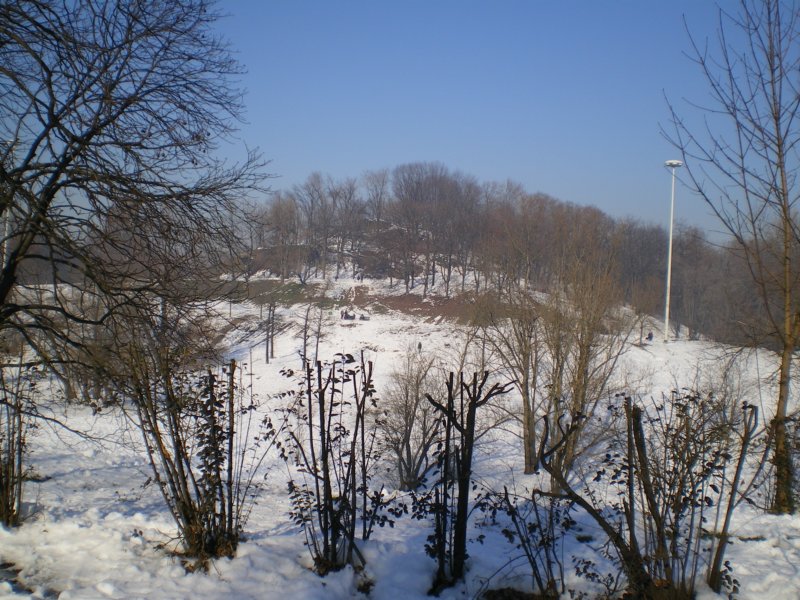 lamontagnetta.jpg