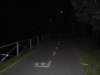 lamartesanabynightore2130_small.jpg
