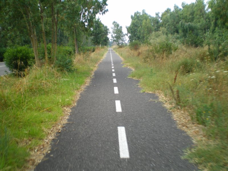 ciclabiledaarboreaaterralba.jpg